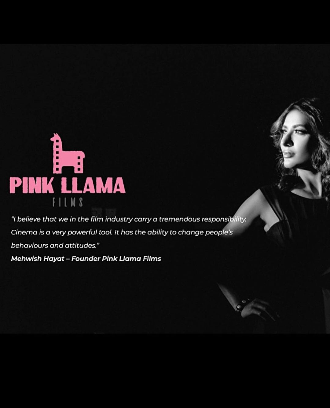 Pink Llama Films